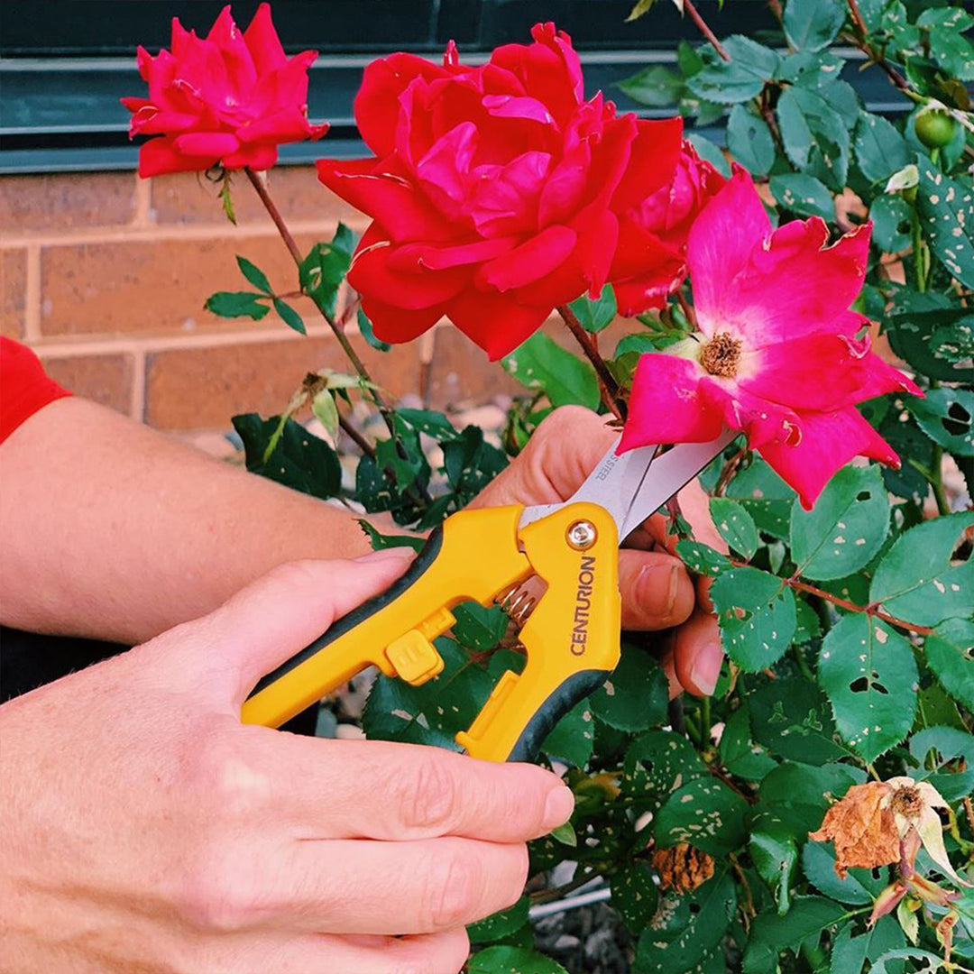 CENTURION Stainless Precision Snip Curved/Straight Pruning & Trimming Shear Set - VMInnovations