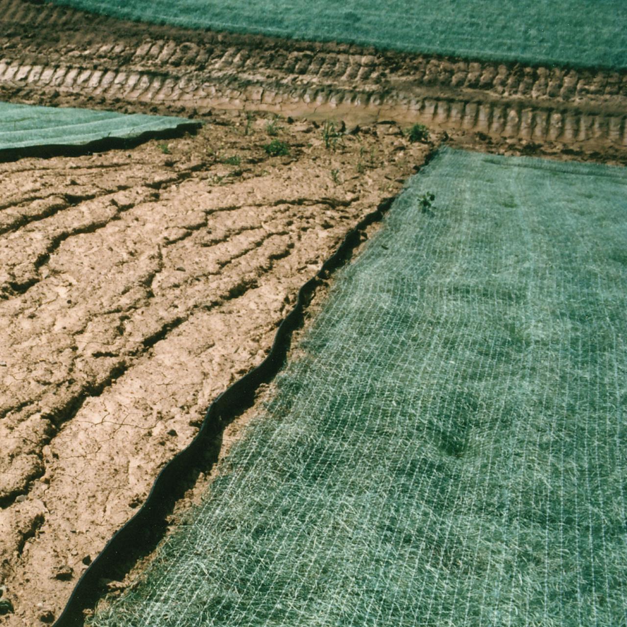Dewitt Single Landscape Excelsior Erosion Control Blanket, 8'x112.5' - VMInnovations