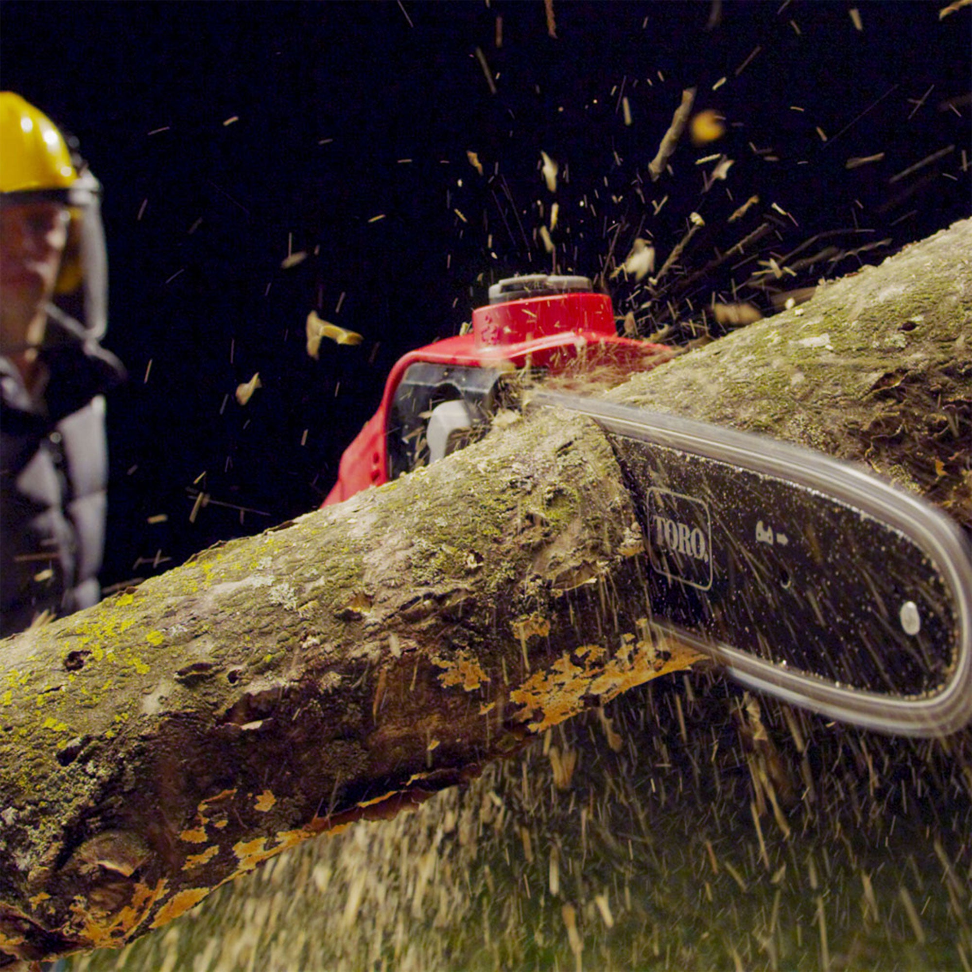 Toro Flex Force 60-Volt Max 10" Cordless Electric Pole Saw (Tool Only)(Open Box) - VMInnovations