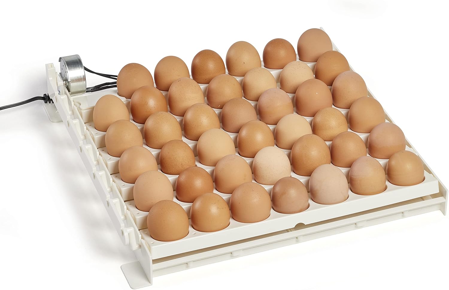 Farm Innovators 3200 Automatic 41 Spot Egg Turner for Improved Hatching (4 Pack)