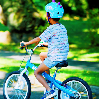 RoyalBaby Formula 16 Inch Kids Bike with Kickstand and Training Wheels, Blue