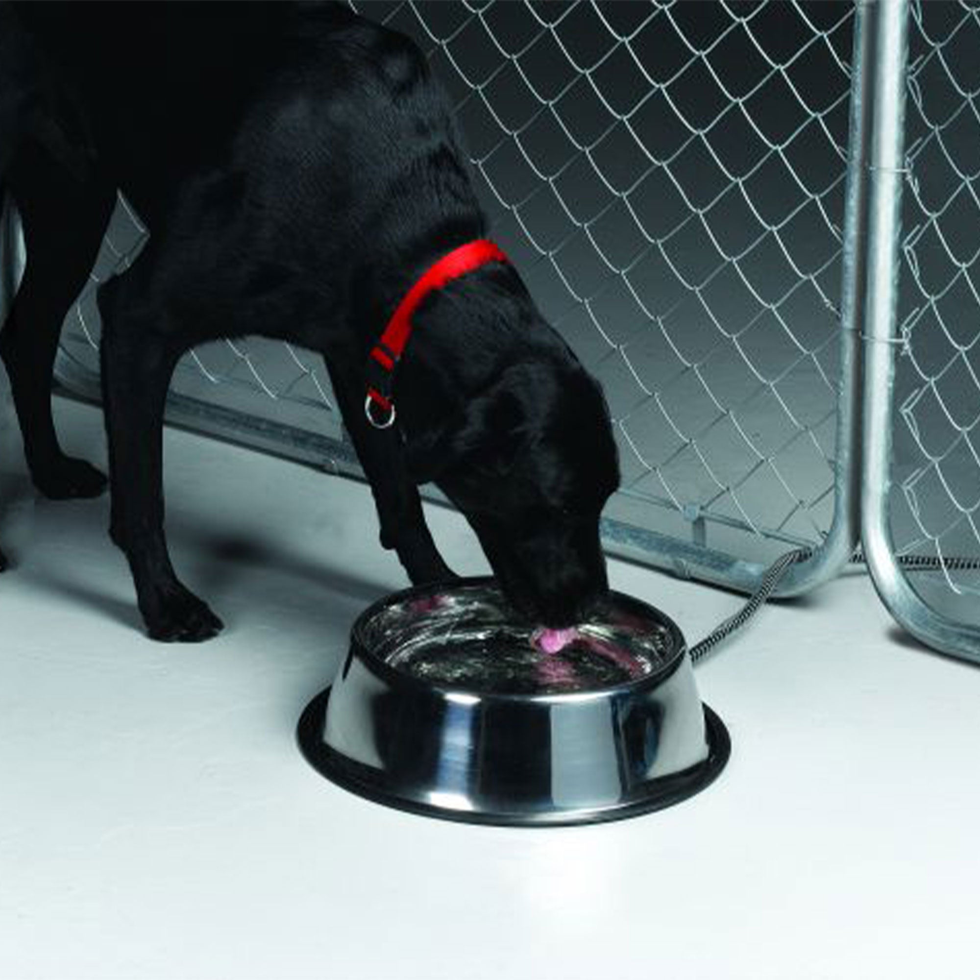API 5 Quart Stainless Steel Thermostatically Controlled Nestable Heated Pet Bowl - VMInnovations
