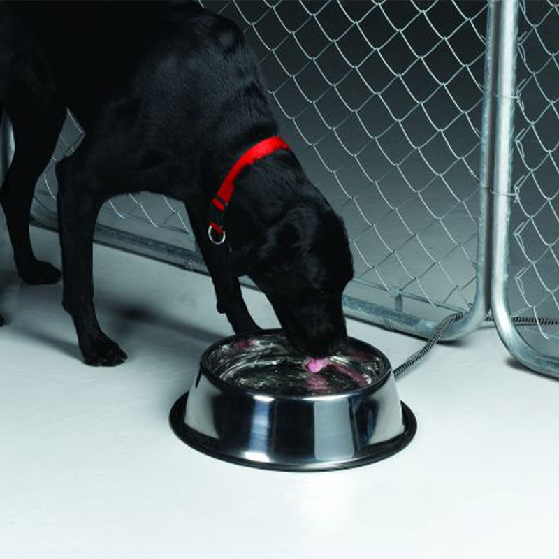API 5 Quart Stainless Steel Thermostatically Controlled Nestable Heated Pet Bowl