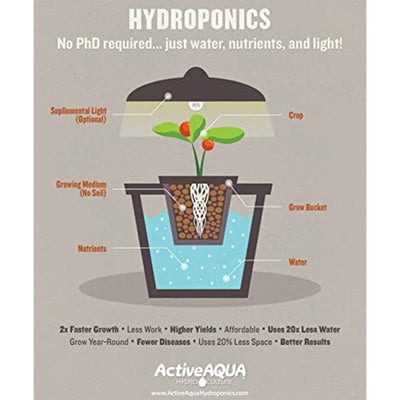 Hydrofarm Active Aqua Oil Free 800GPH Submersible Hydroponic Water Pump (2 Pack)