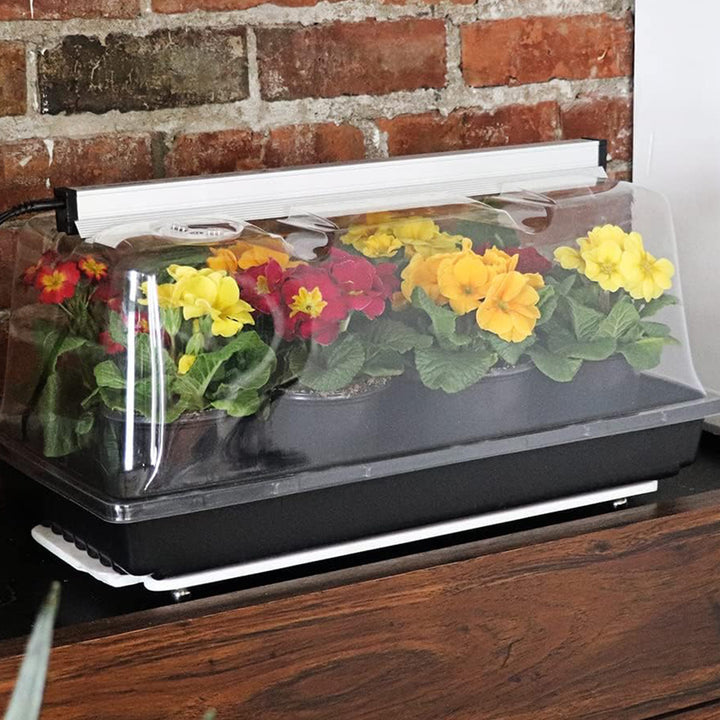 SunBlaster SL1600205 T5HO Mini Greenhouse Kit w/NanoDome & Tray for Seed Starter - VMInnovations