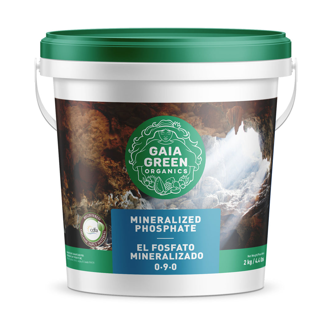 GAIA GREEN Organics Mineralized Phosphate Natural Mineral Soil Supplement, 2 kg - VMInnovations