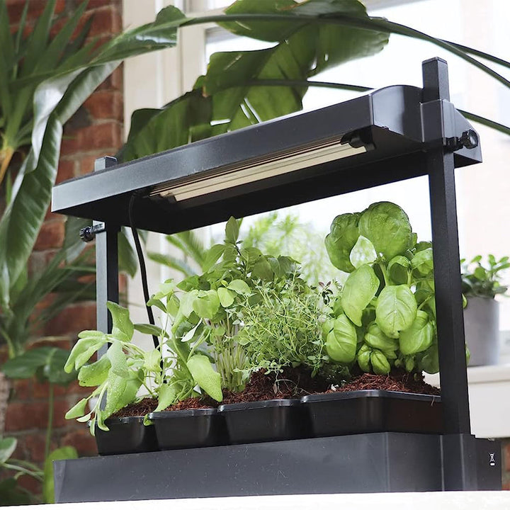 SunBlaster SL1600198 T5HO Micro T5 Grow Light Garden for Seed Starting, Black - VMInnovations