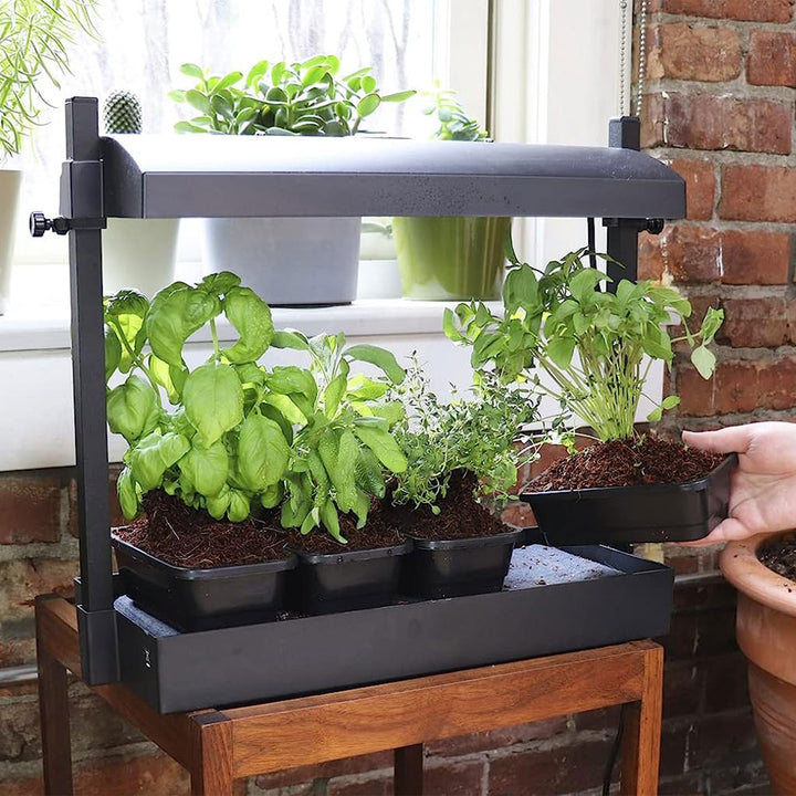 SunBlaster SL1600198 T5HO Micro T5 Grow Light Garden for Seed Starting, Black - VMInnovations