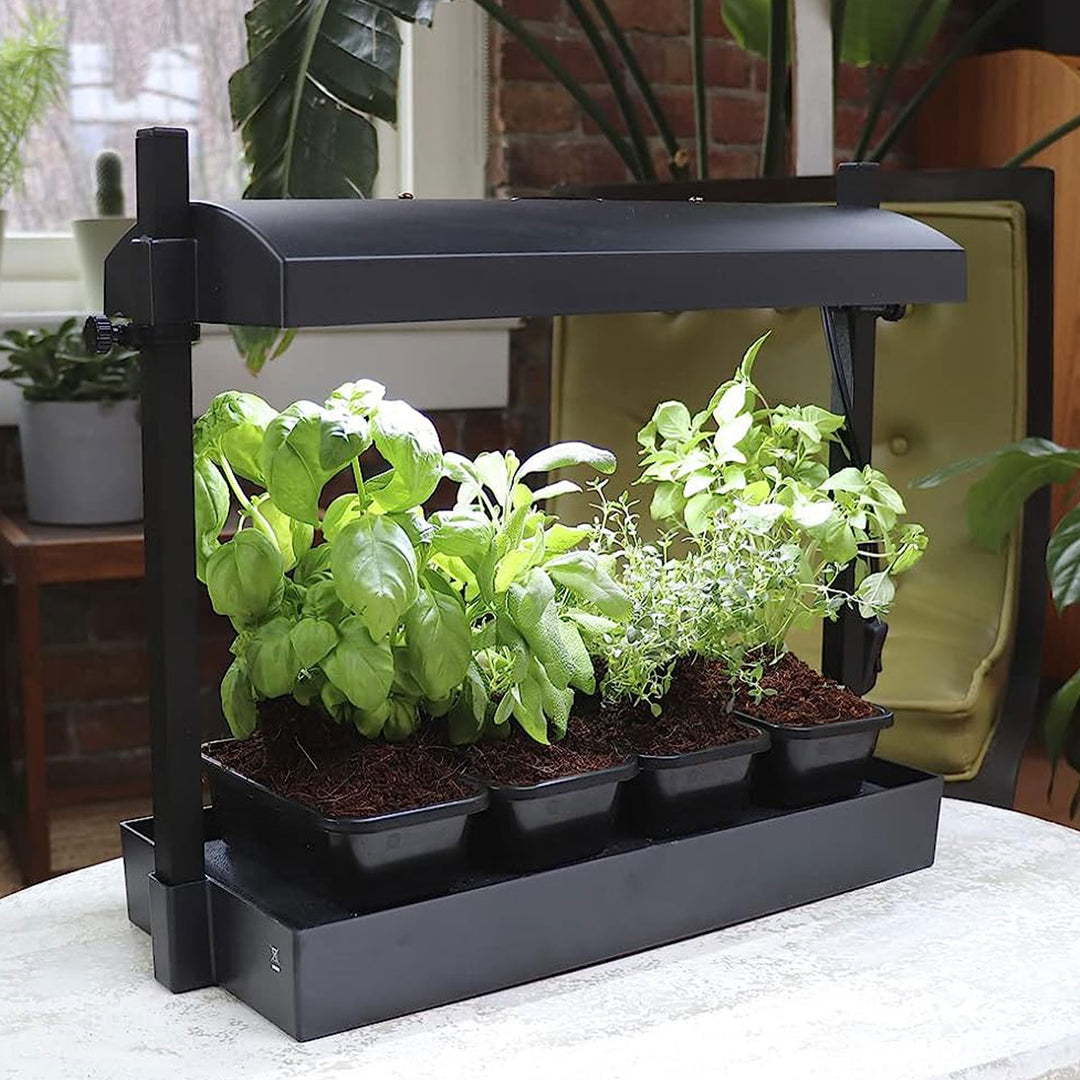 SunBlaster SL1600198 T5HO Micro T5 Grow Light Garden for Seed Starting, Black - VMInnovations