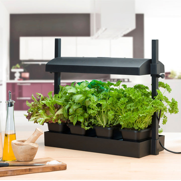 SunBlaster SL1600198 T5HO Micro T5 Grow Light Garden for Seed Starting, Black - VMInnovations