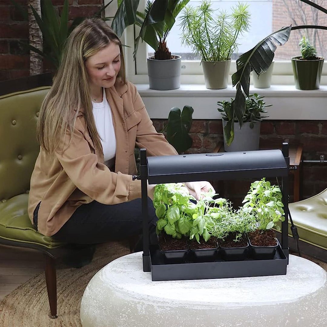 SunBlaster SL1600198 T5HO Micro T5 Grow Light Garden for Seed Starting, Black - VMInnovations