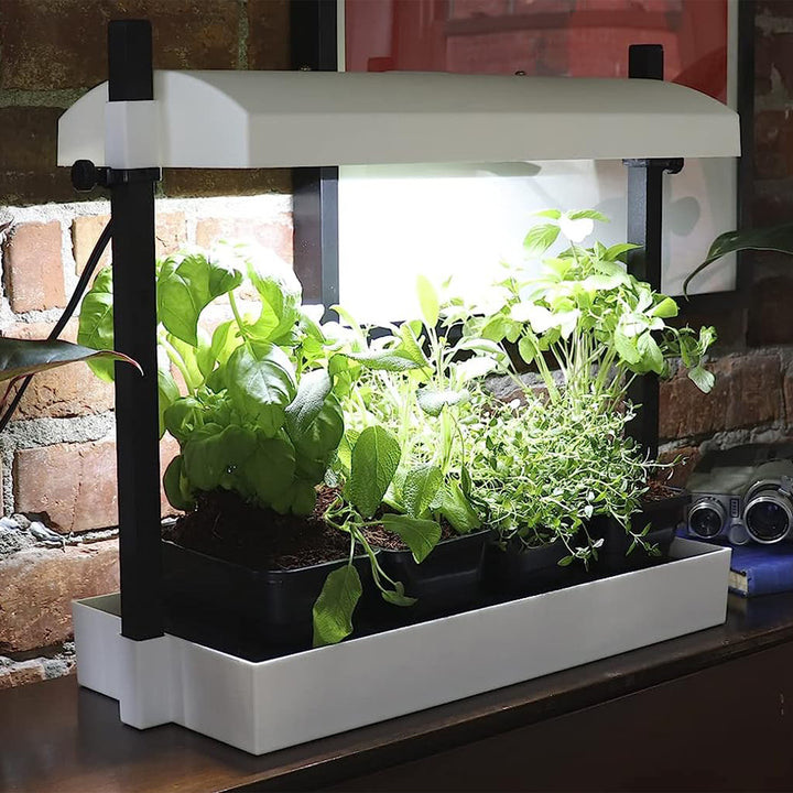 SunBlaster SL1600199 T5HO Micro T5 Grow Light Garden for Seed Starting, White - VMInnovations