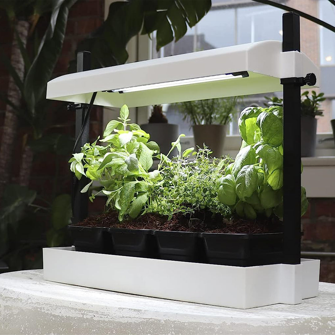 SunBlaster SL1600199 T5HO Micro T5 Grow Light Garden for Seed Starting, White - VMInnovations