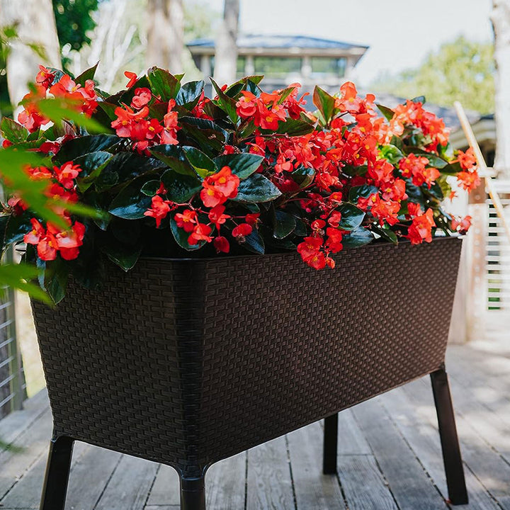 Polymer Outdoor Products 19.5" L x 44.5" W x 29.75" H Raised Garden Bed, Brown - VMInnovations