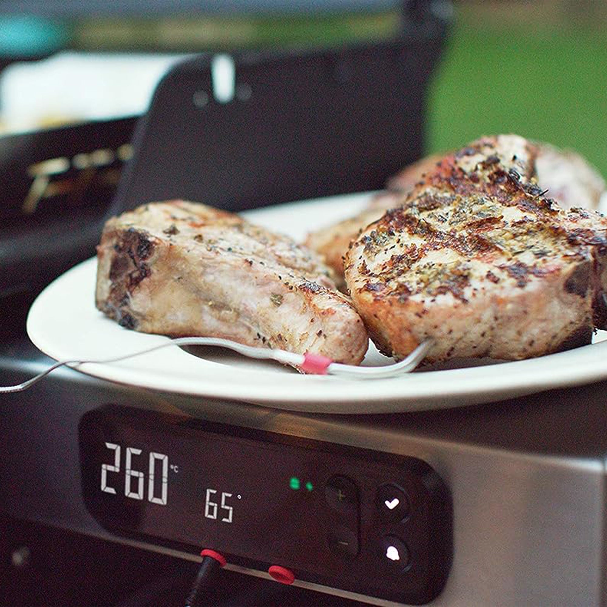 Weber Spirit Stainless Steel 3 Burner Liquid Propane Gas Smart Grill (For Parts) - VMInnovations