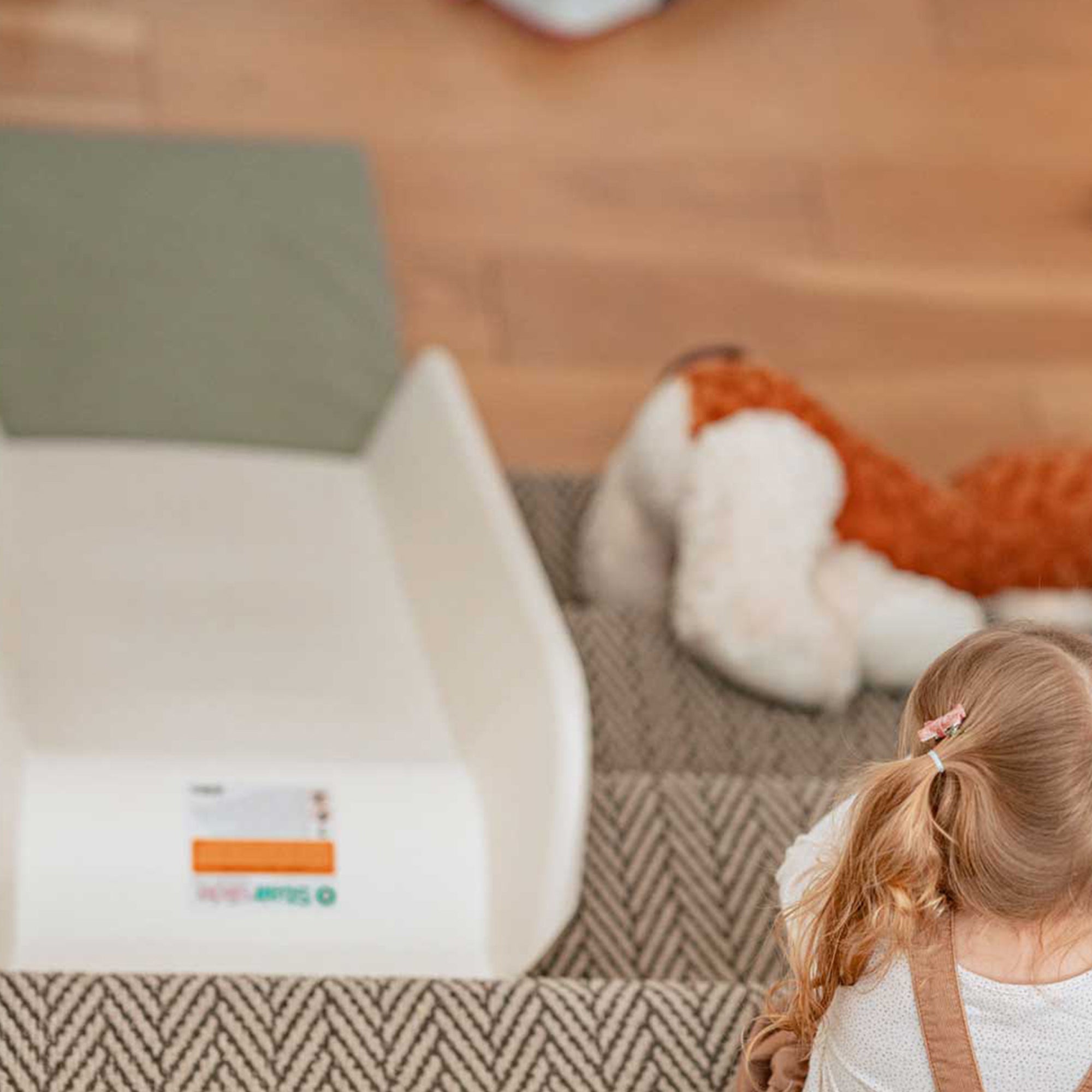 Stairslide Set of 4 Stair Mounted Kids Indoor Slide & Non-Slip Foam Landing Pad - VMInnovations