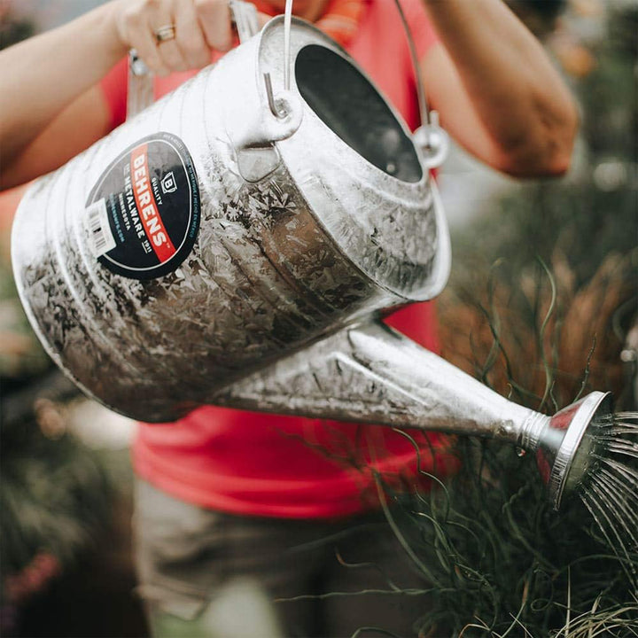 Behrens 2.5 Gallon Weatherproof Hot Dipped Steel Watering Can with Wooden Handle - VMInnovations