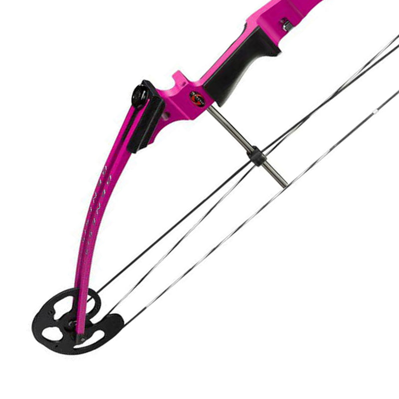 Genesis Archery Compound Bow Adjustable Sizing for Right Handed, Purple (2 Pack)