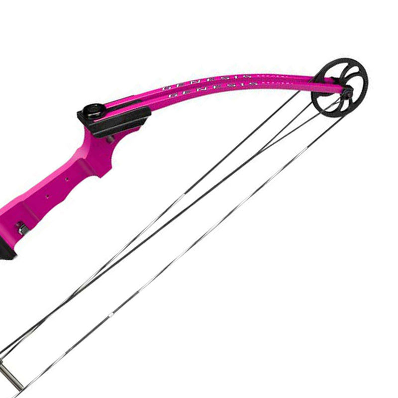 Genesis Archery Compound Bow Adjustable Sizing for Right Handed, Purple (4 Pack)