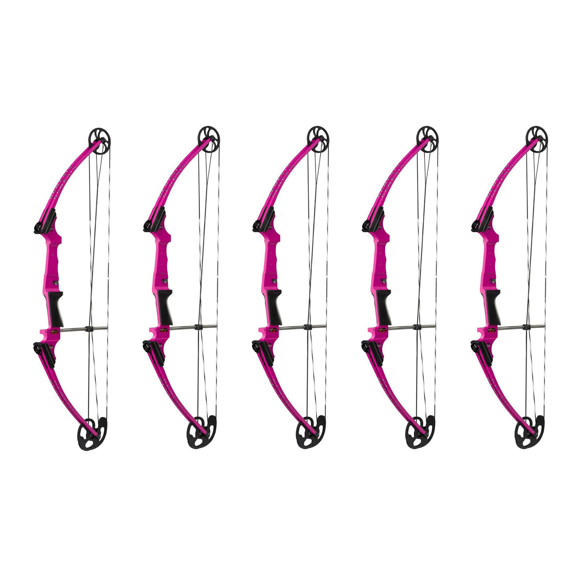Genesis Archery Compound Bow Adjustable Sizing for Right Handed, Purple (5 Pack)