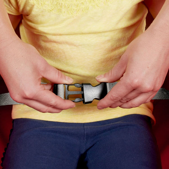 Radio Flyer 3 in 1 EZ Fold Wagon with Canopy, Red - VMInnovations