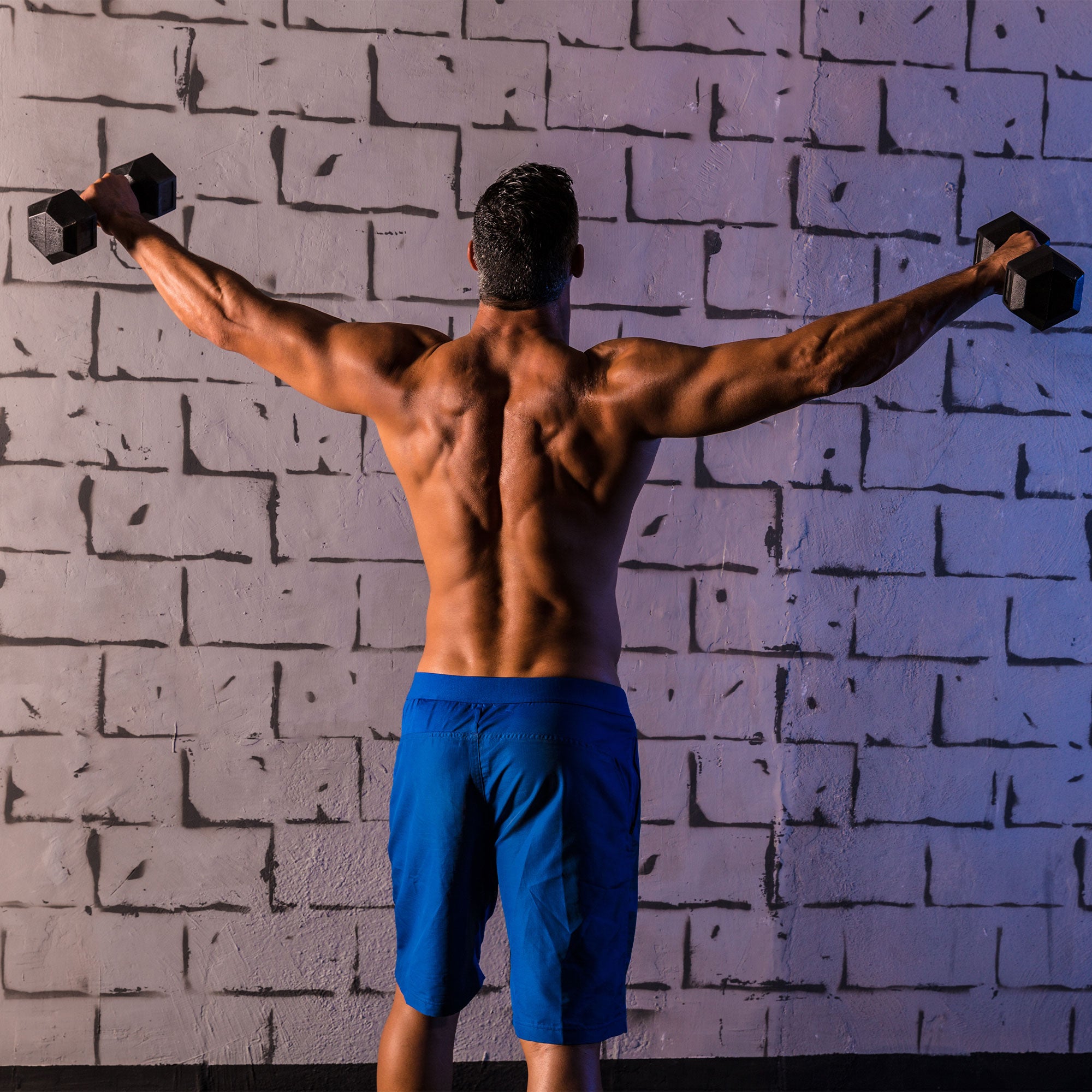 HolaHatha Iron Hexagonal Cast Home Exercise Dumbbell Free Weight, 15 Pounds - VMInnovations