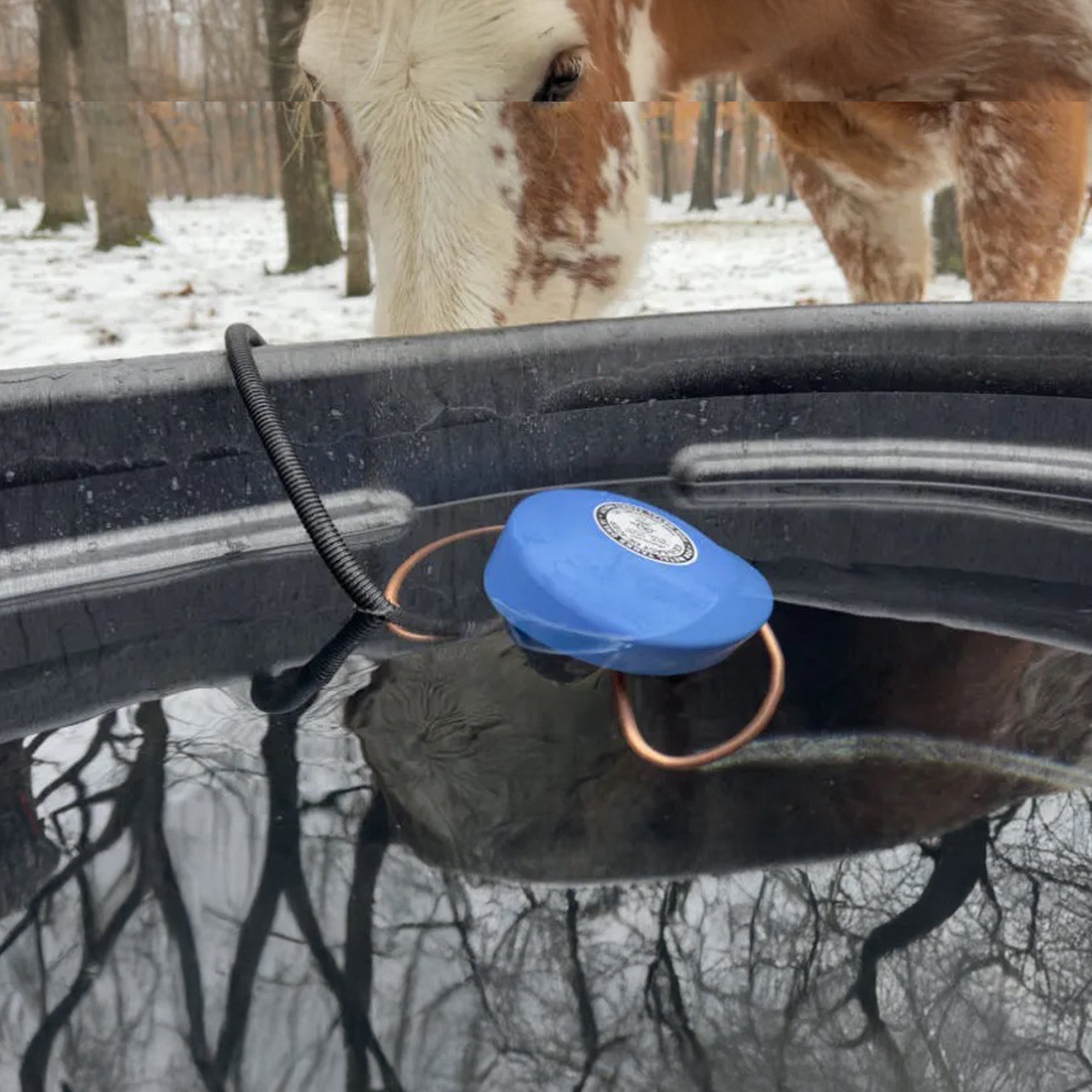 Farm Innovators Ice N Easy Economical Tank 1500W Traditional Floating De Icer - VMInnovations