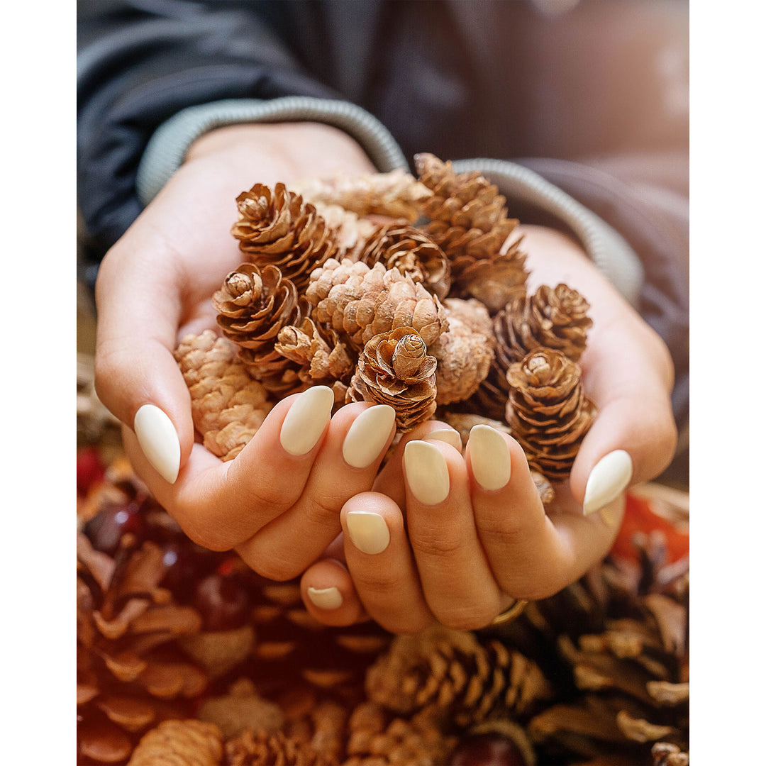 Morgan Taylor Fall 2023 Change of Pace Nail Lacquer Polish Manicure Set 3 Pack - VMInnovations