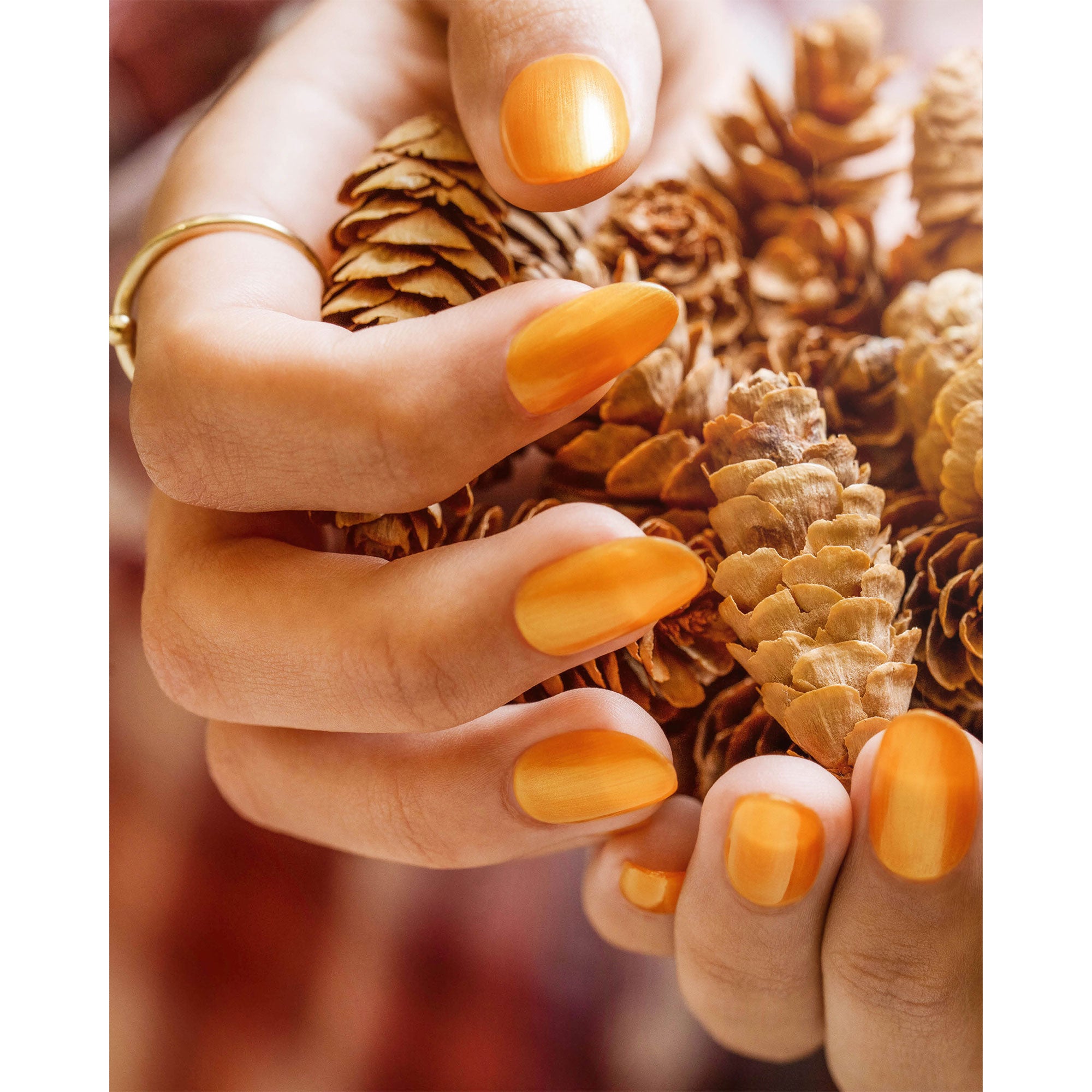 Morgan Taylor Fall 2023 Change of Pace Nail Lacquer Polish Manicure Set 3 Pack - VMInnovations