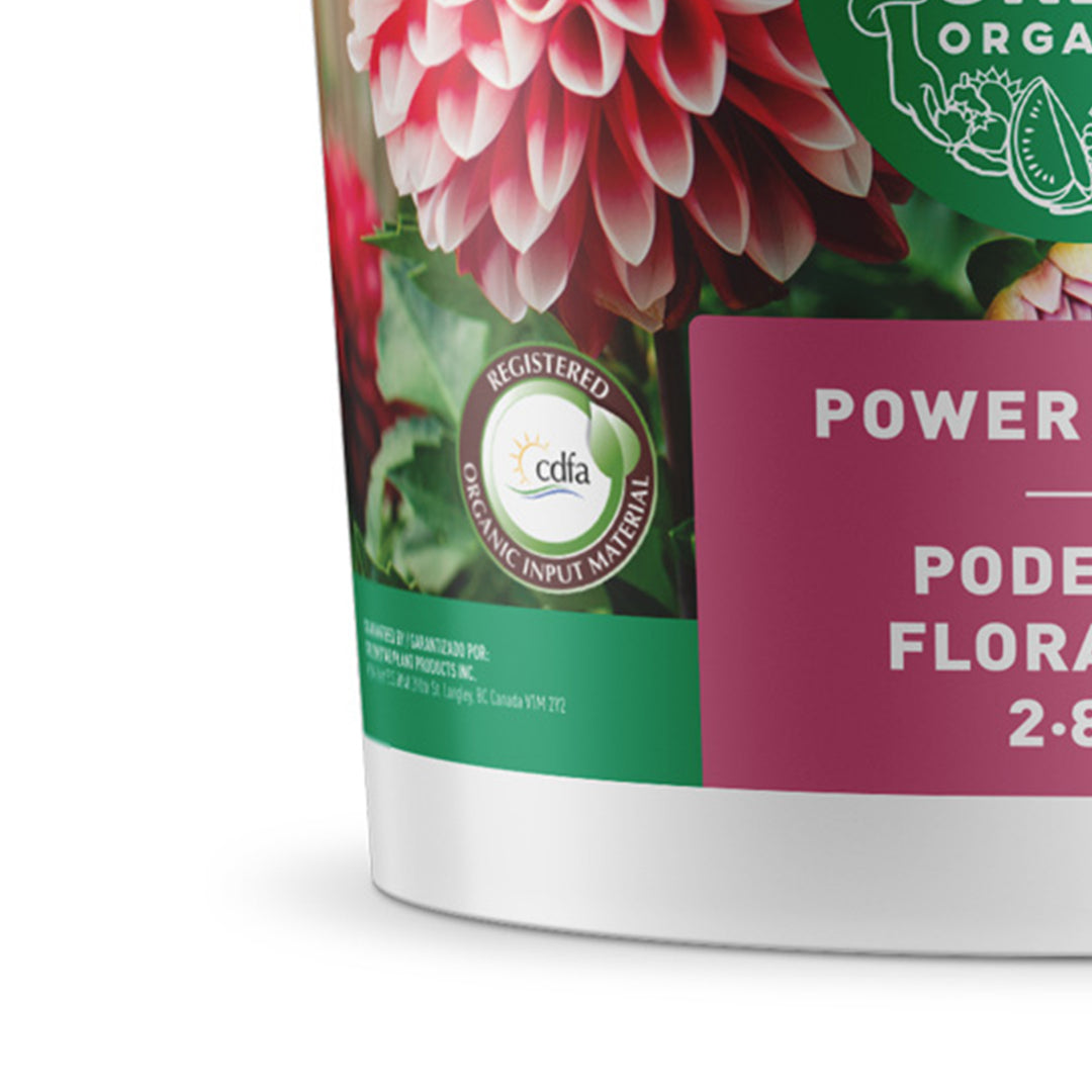 GAIA GREEN 2 kg Power Bloom for Root Development, Flowering & Fruiting Plants - VMInnovations