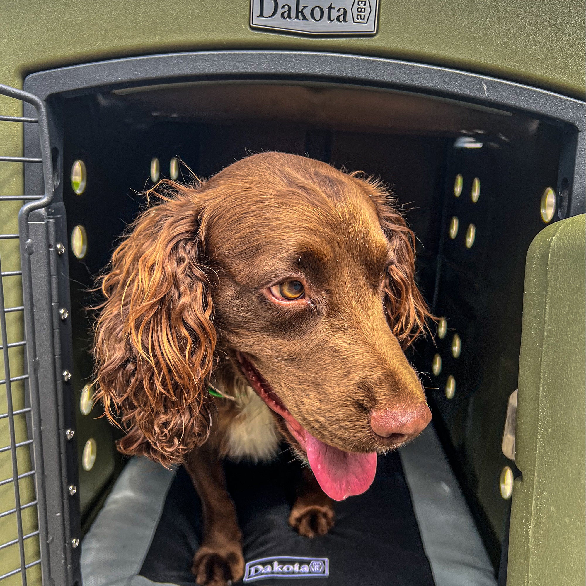 Dakota Medium Easy to Clean Dog Kennel w/ Handle & Latching Door, Olive (Used) - VMInnovations