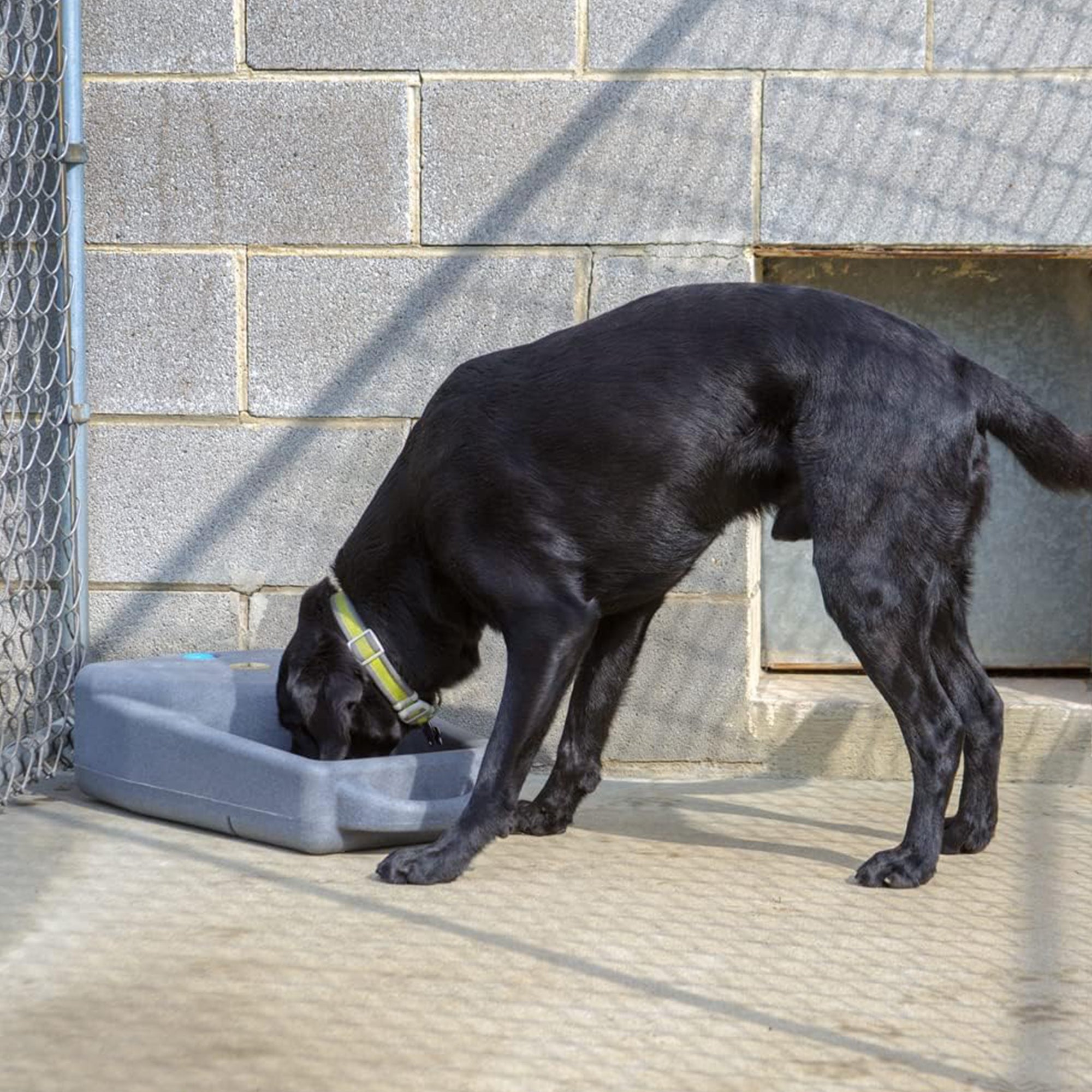 Dakota 283 3.5 Gal Water Dispenser System for Dogs & Pets, Coyote Tan (Open Box) - VMInnovations