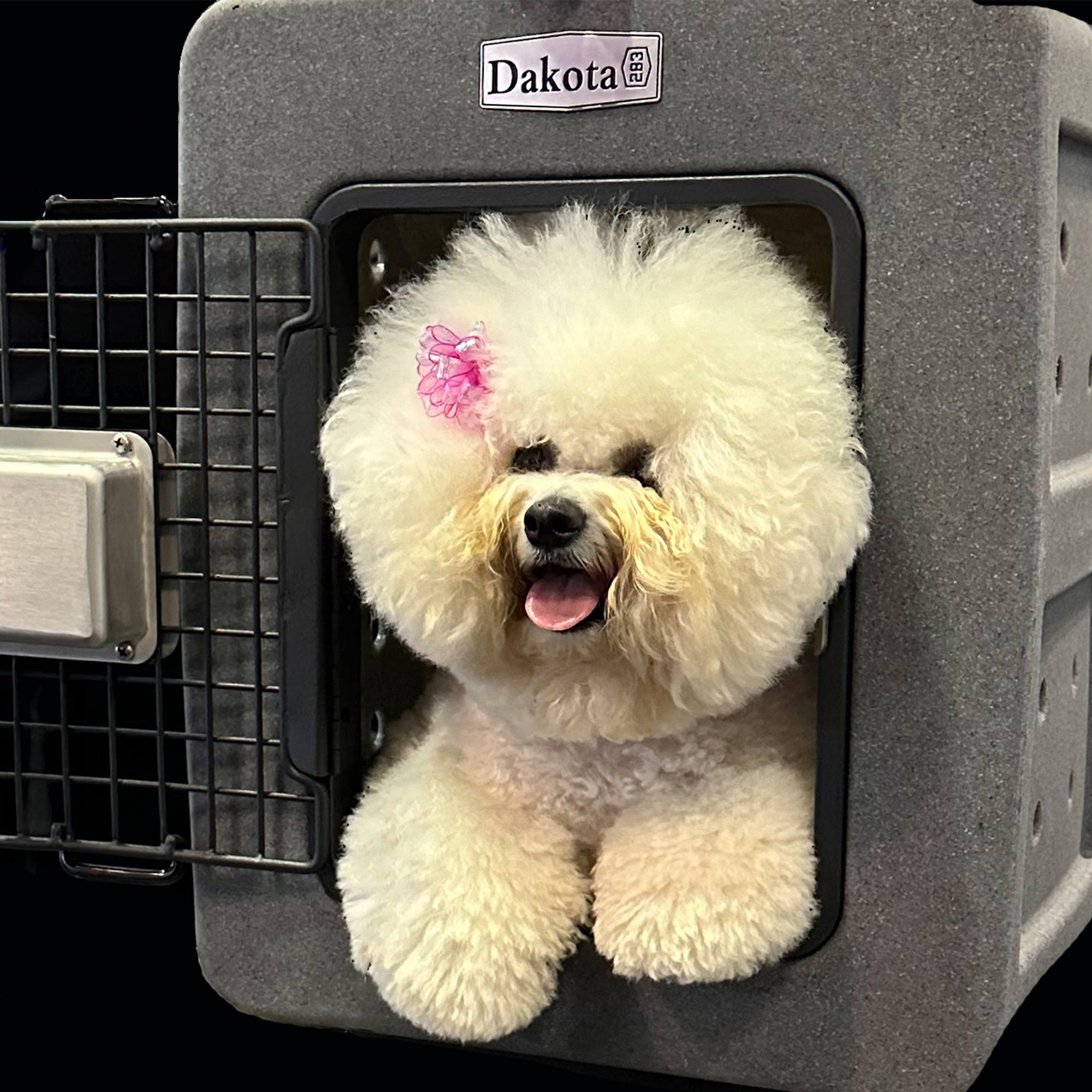 Dakota 283 G3 Easy To Clean Kennel w/ Handle & Latching Door,Granite (Open Box) - VMInnovations