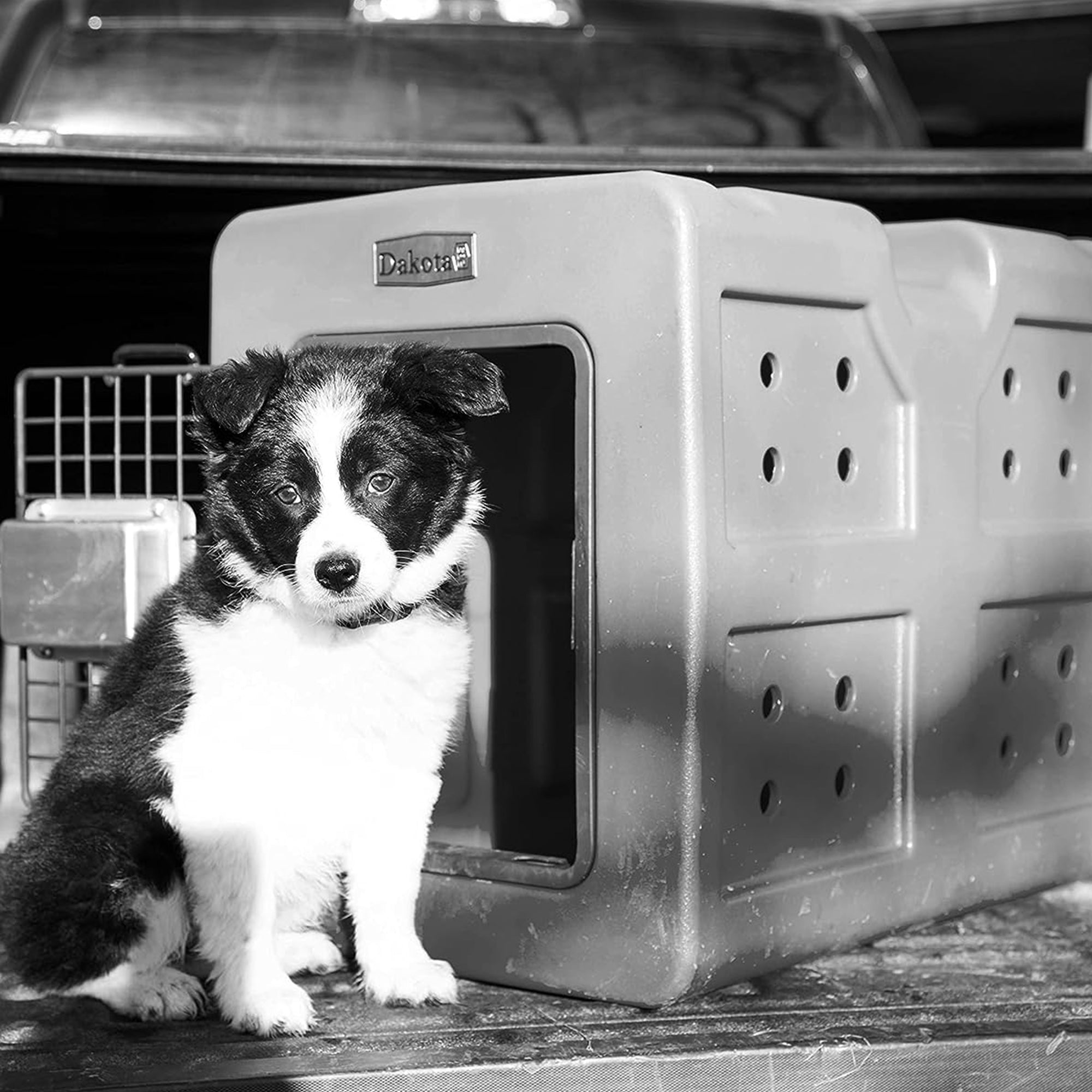 Dakota Easy To Clean Kennel w/ Handle & Latching Door, Coyote Granite (Open Box) - VMInnovations