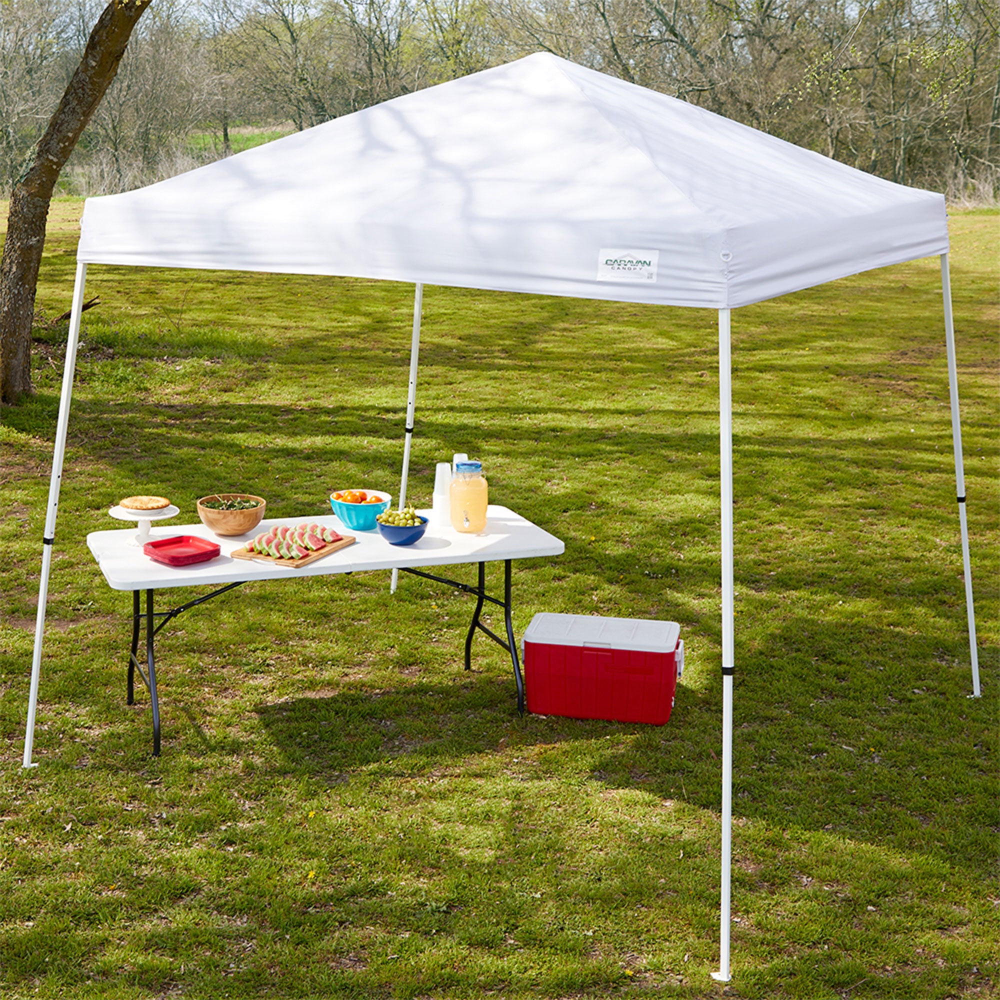 Caravan Canopy V Series 2 Slant Leg Sidewall Kit with 10x10 Instant Canopy Kit
