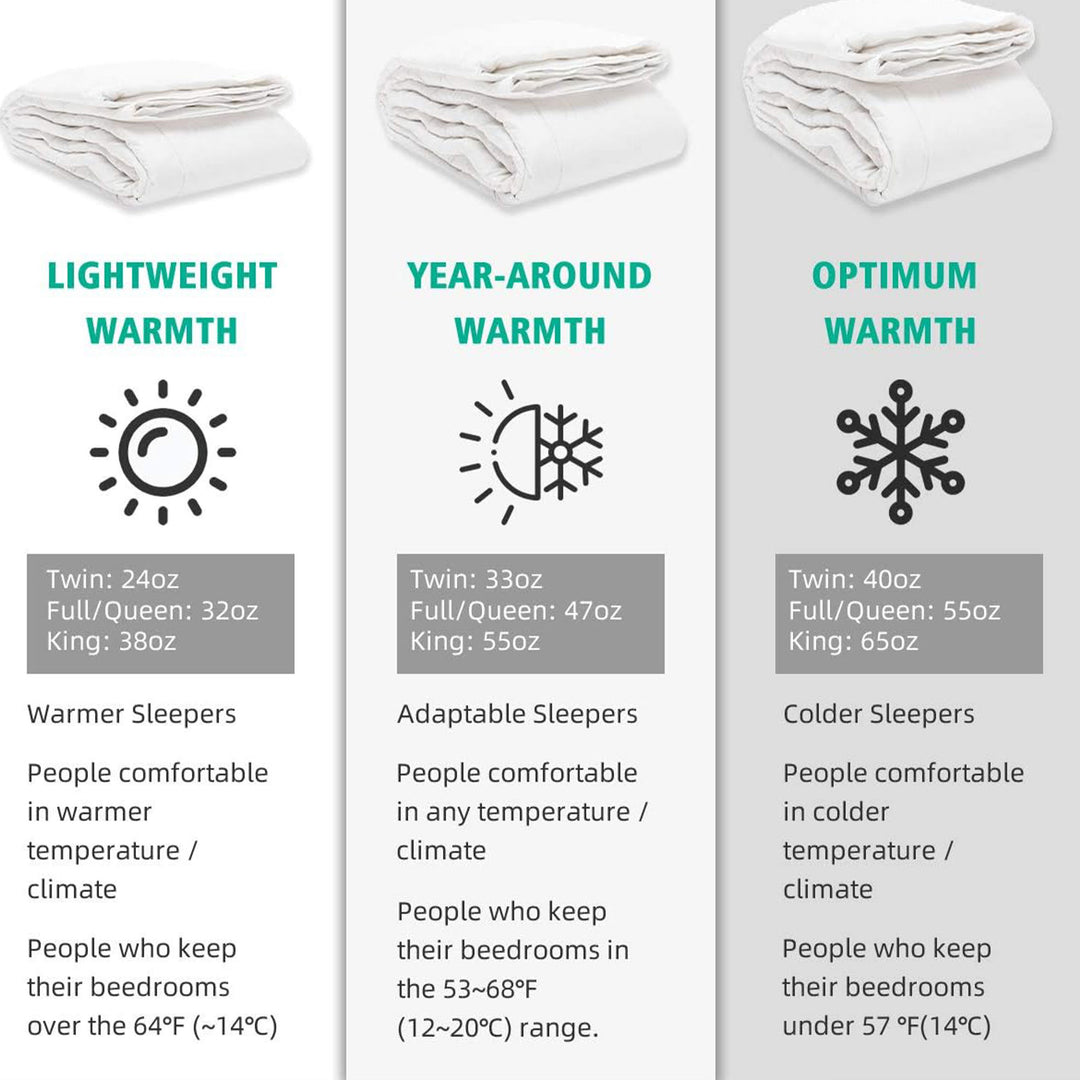 APSMILE Luxurious Feathers Down Full Queen Duvet Insert Comforter, White - VMInnovations