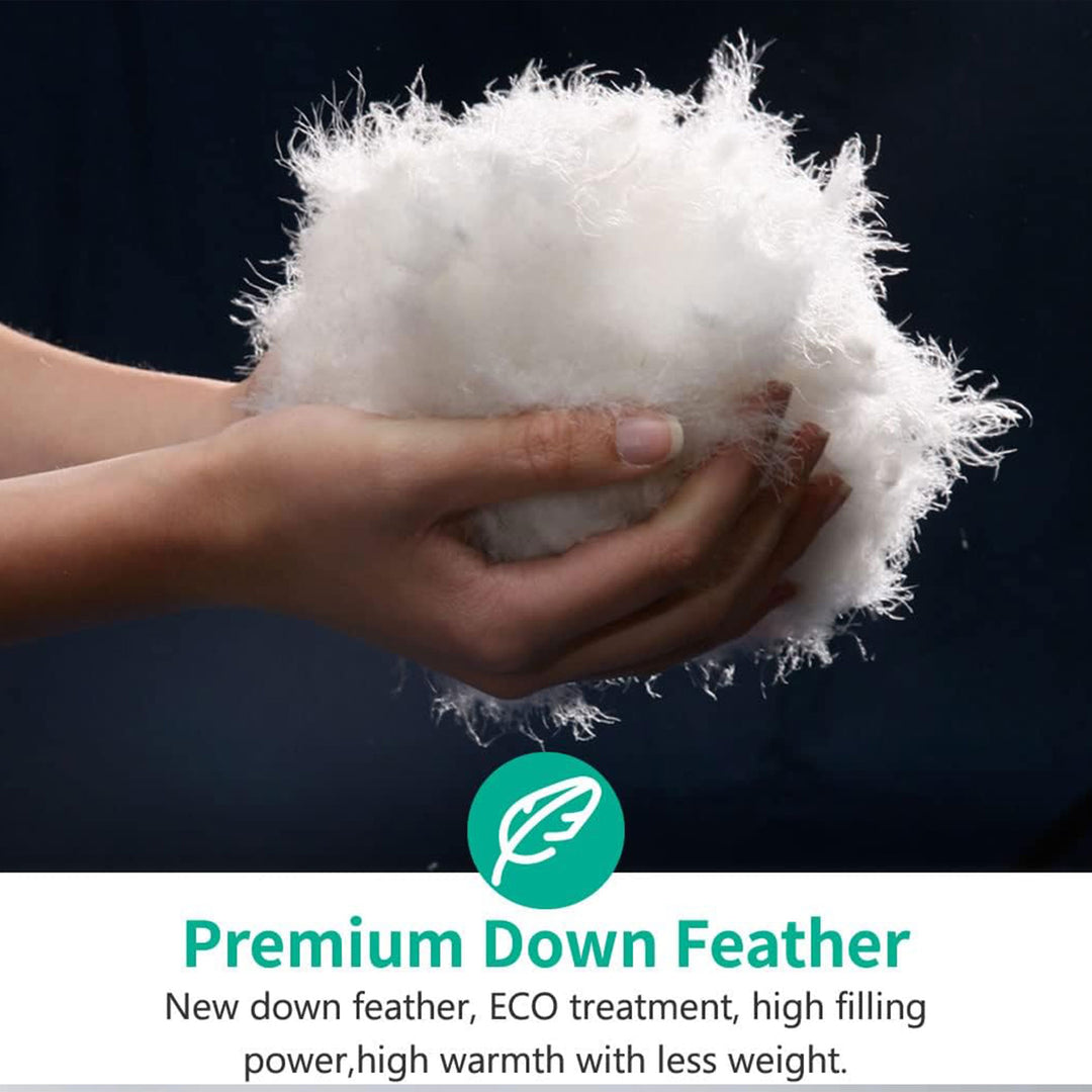 APSMILE Luxurious Feathers Down Full Queen Duvet Insert Comforter, White - VMInnovations