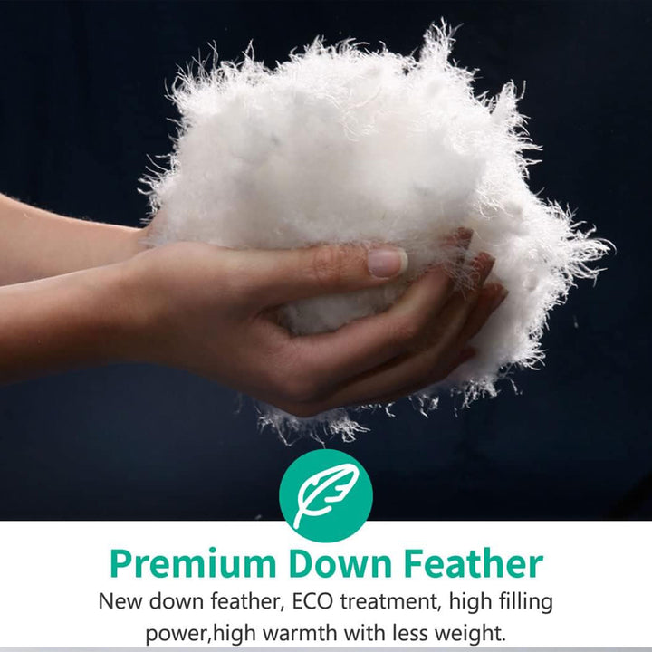 APSMILE Luxurious Feathers Down Full Queen Duvet Insert Comforter, White - VMInnovations