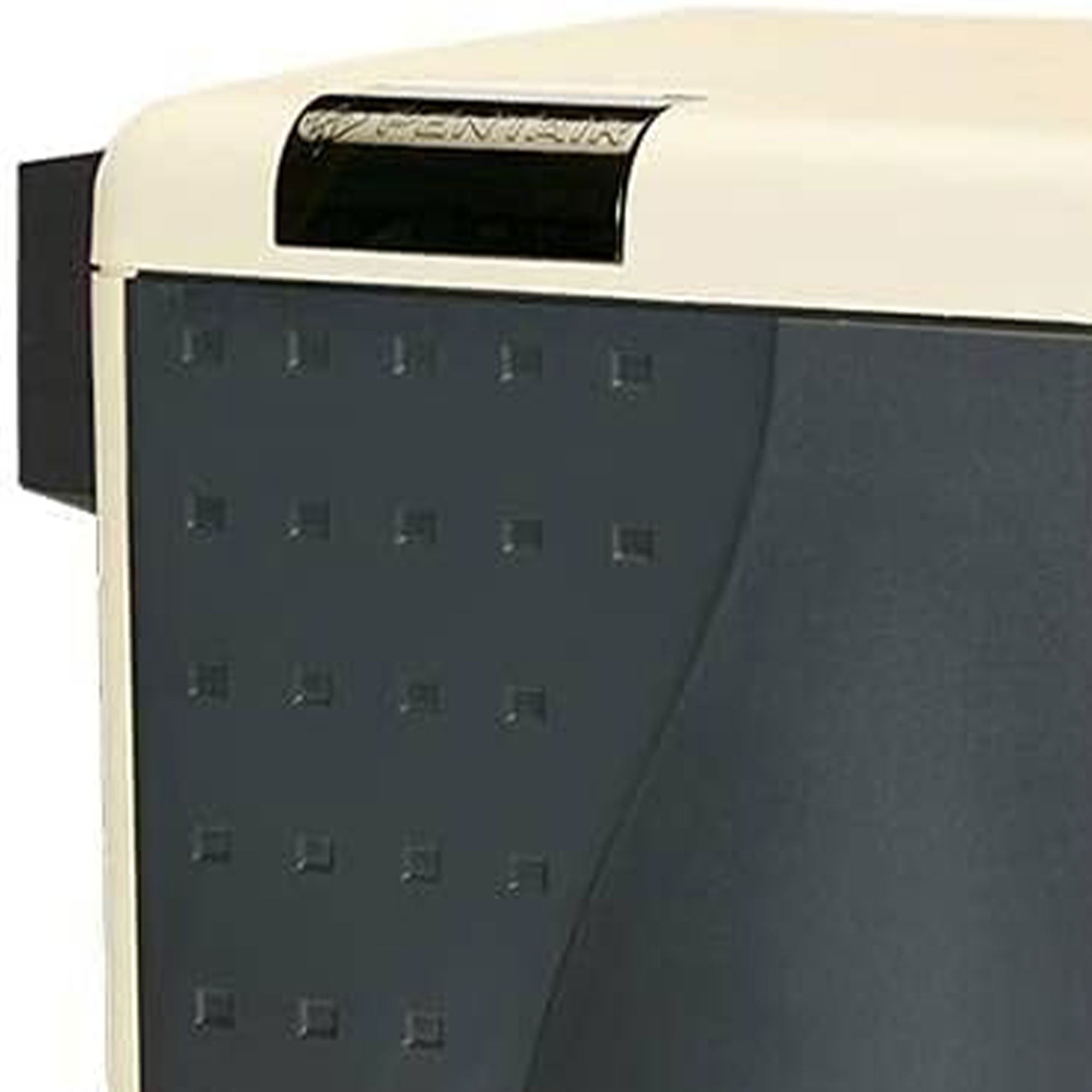 Pentair MasterTemp Pool Heater with Premix Combustion Technology for Spa, Almond - VMInnovations