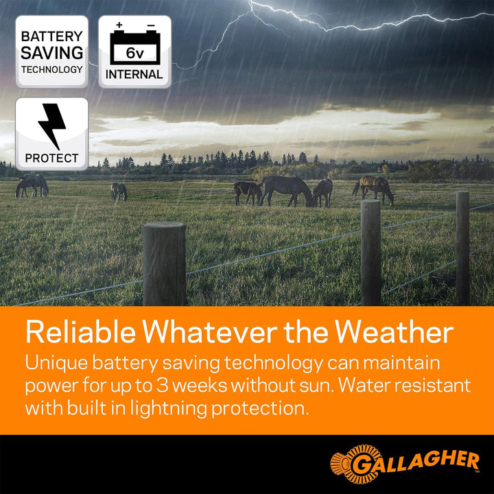 Gallagher Portable Solar Electric Fence Energizer with Solar Battery & Leadsets - VMInnovations