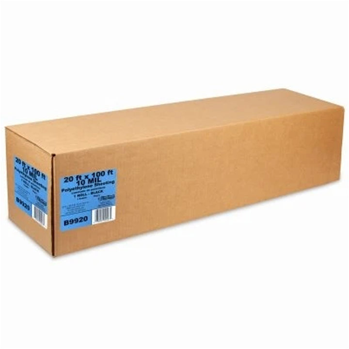 Film-Gard 20' x 100' 10 Mil Polyethylene Painters Plastic Sheeting Roll, Black - VMInnovations