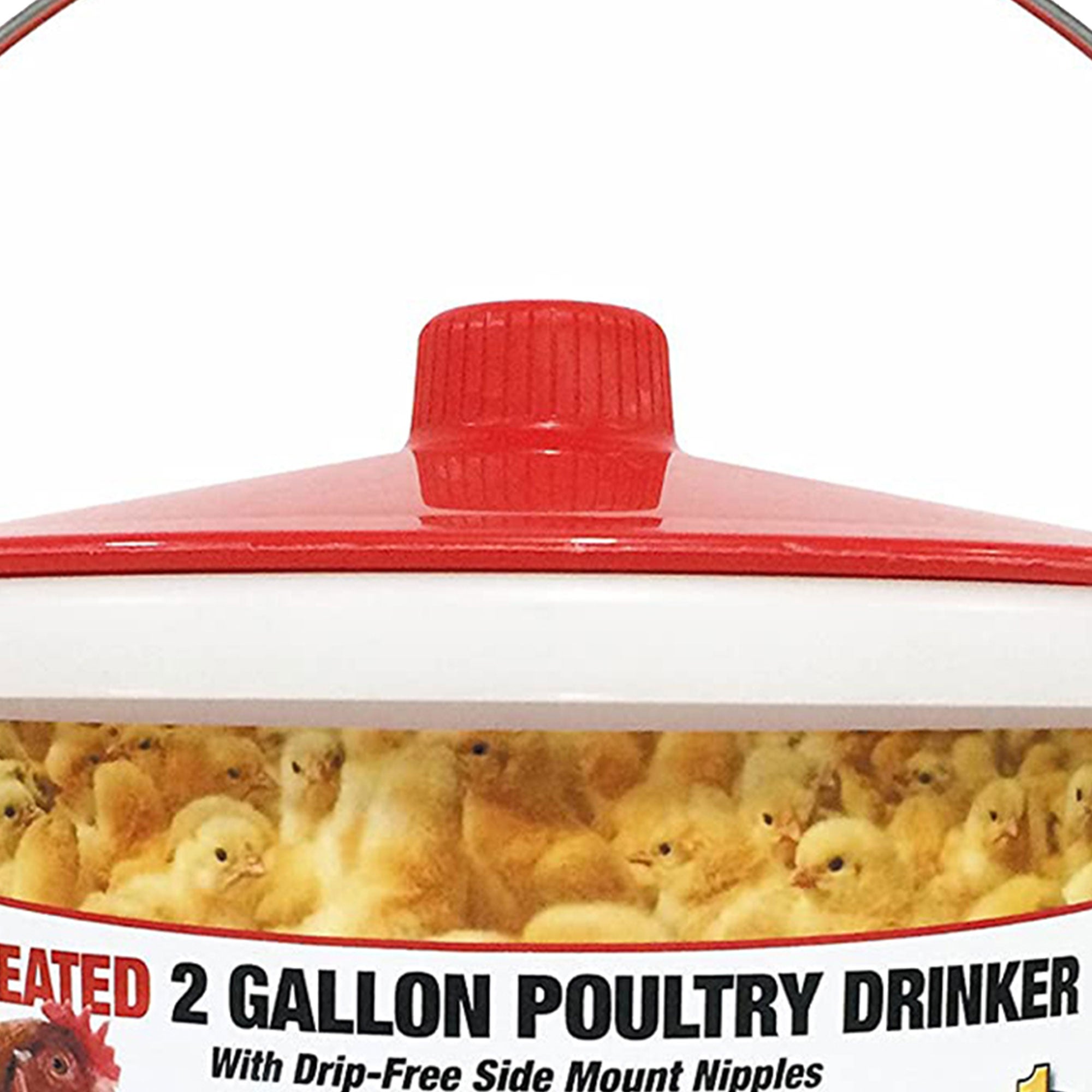 Farm Innovators Heated 2 Gallon Poultry Water Bucket Drinker, White/Red (3 Pack) - VMInnovations