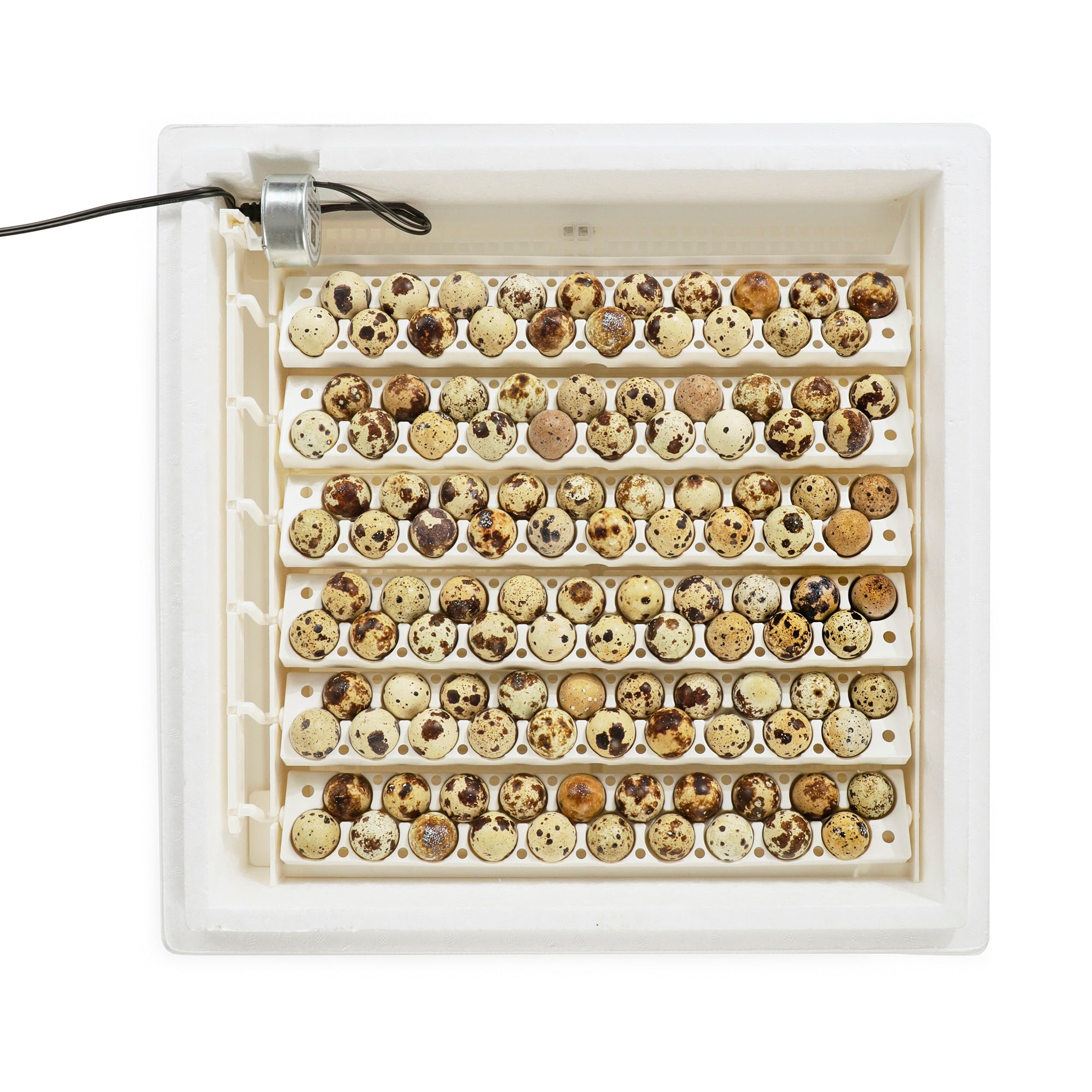 Farm Innovators 3400 Replacement Tray Rail for 120 Quail and Small Eggs (6 Pack) - VMInnovations