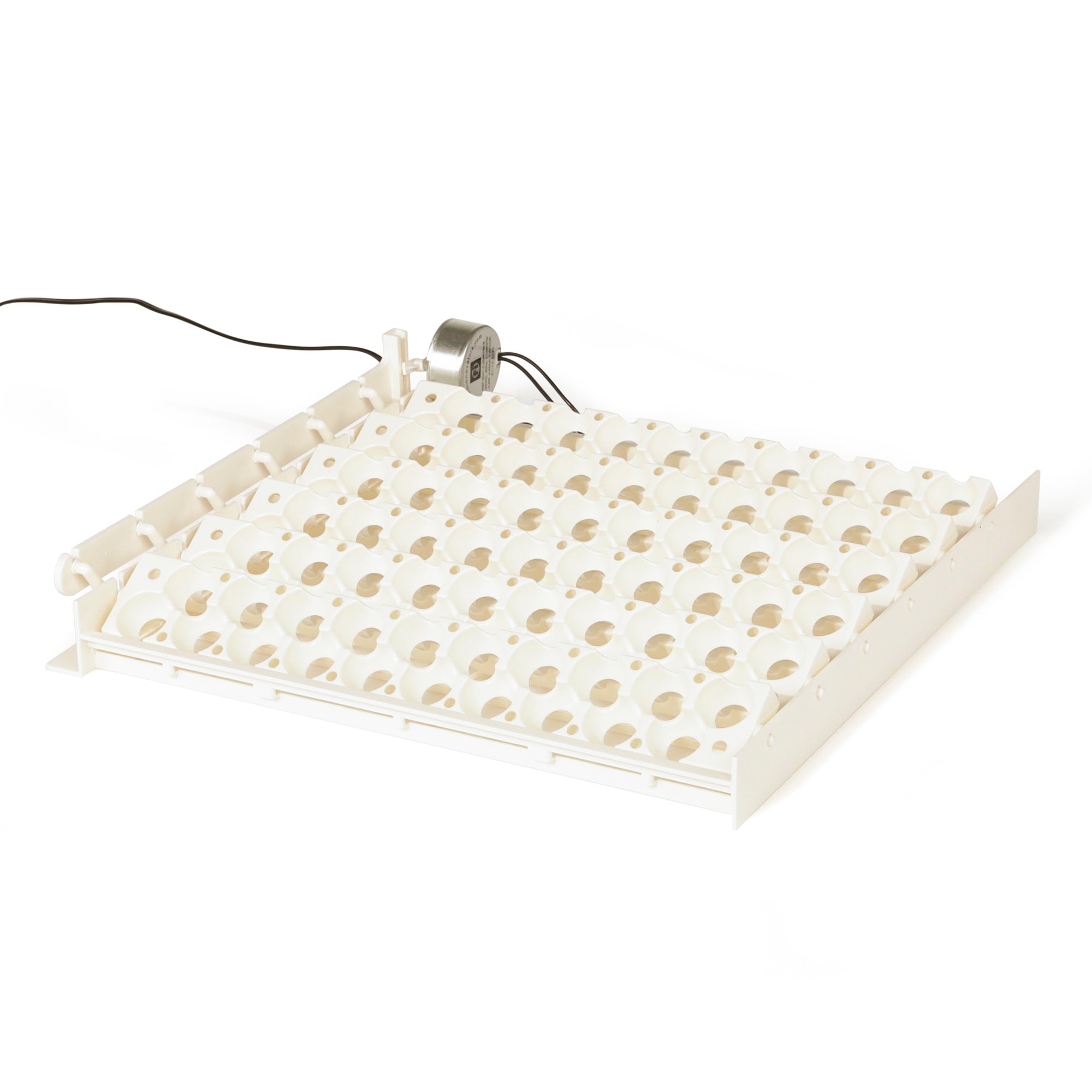 Farm Innovators 3400 Replacement Tray Rail for 120 Quail and Small Eggs (6 Pack) - VMInnovations