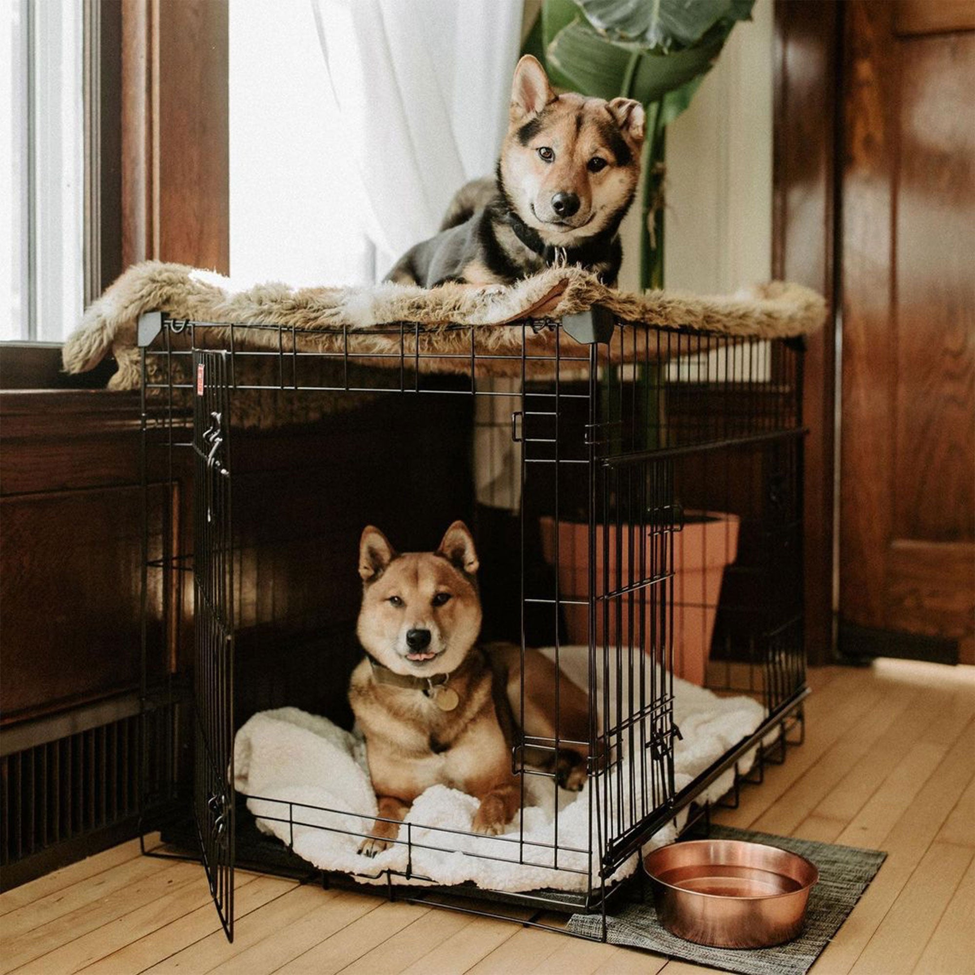 Lucky Dog Dwell Series 30 Inch S/M Kennel Secure Fenced Pet Dog Crate, Black - VMInnovations