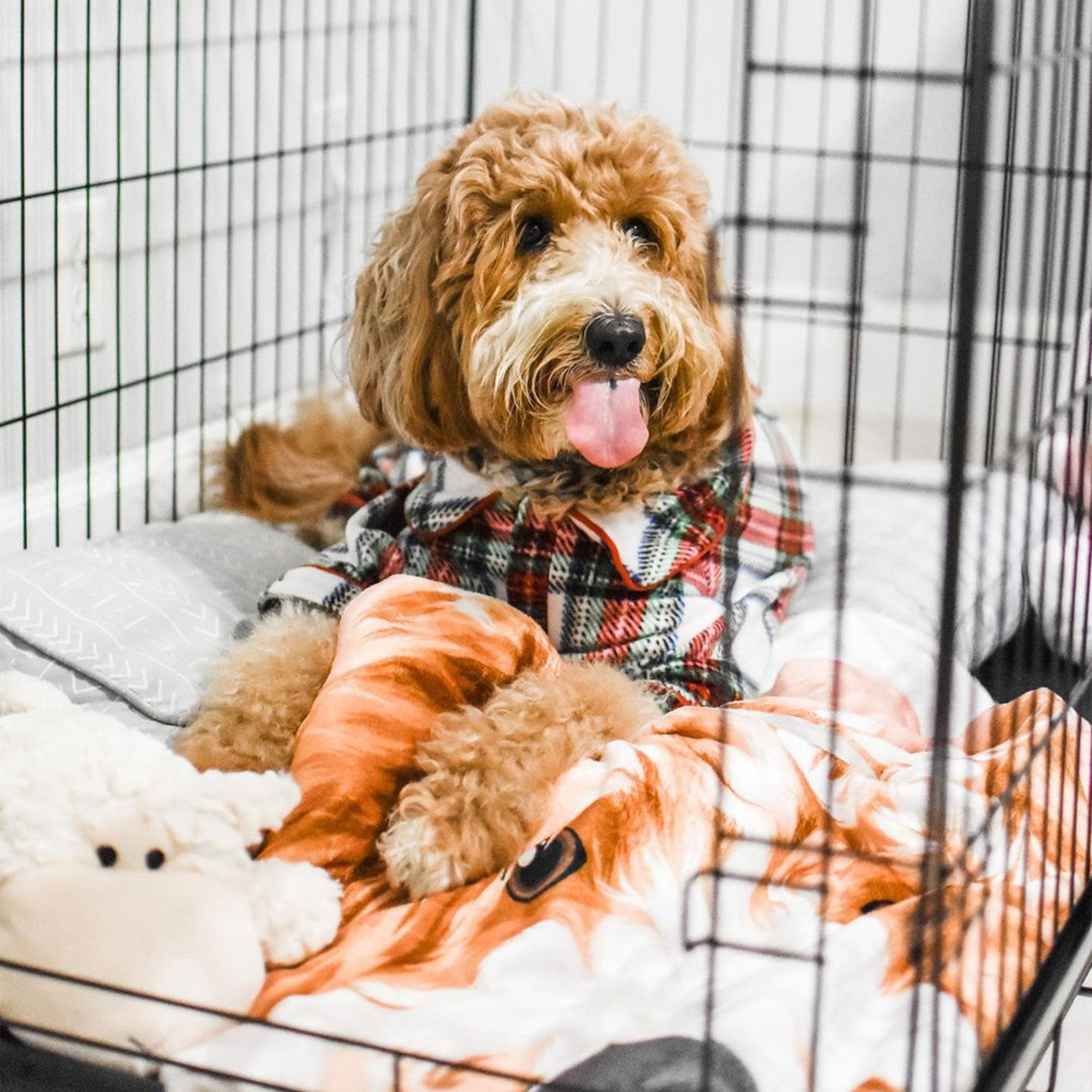 Lucky Dog Dwell Series 30 Inch S/M Kennel Secure Fenced Pet Dog Crate, Black - VMInnovations