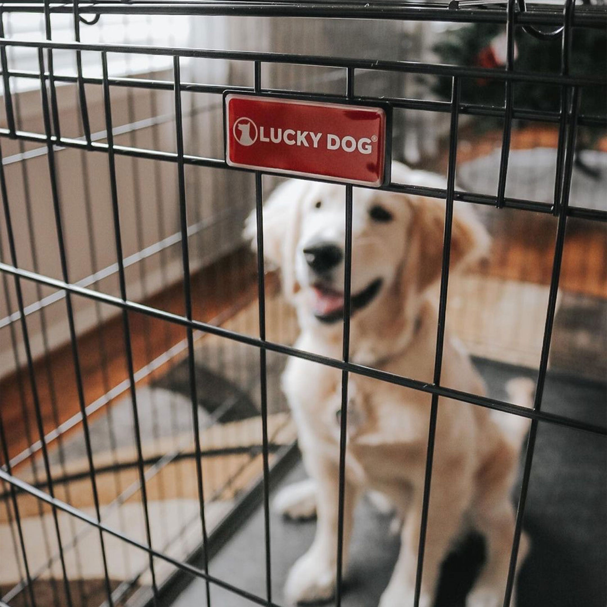 Lucky Dog Dwell Series 30 Inch S/M Kennel Secure Fenced Pet Dog Crate, Black - VMInnovations