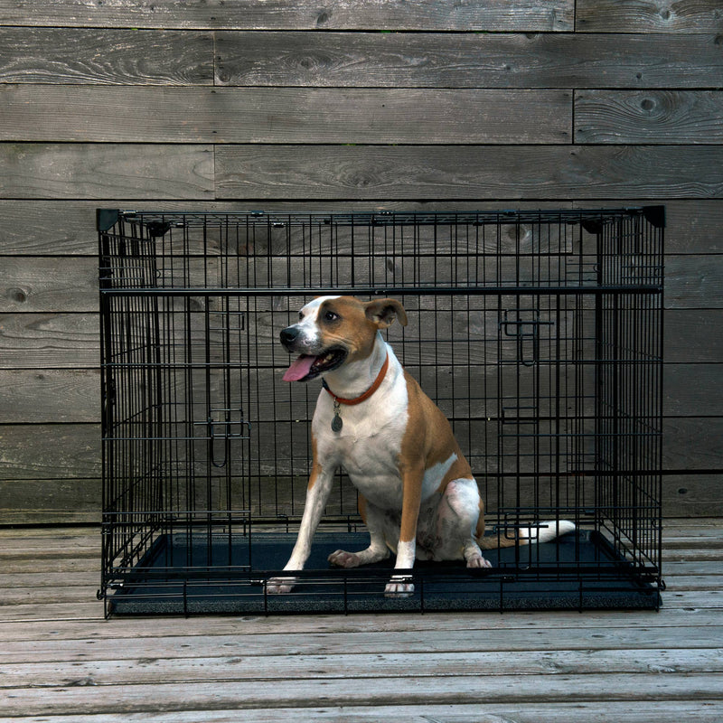 Lucky Dog Dwell Series 42 Inch Large Kennel Secure Fenced Pet Dog Crate, Black