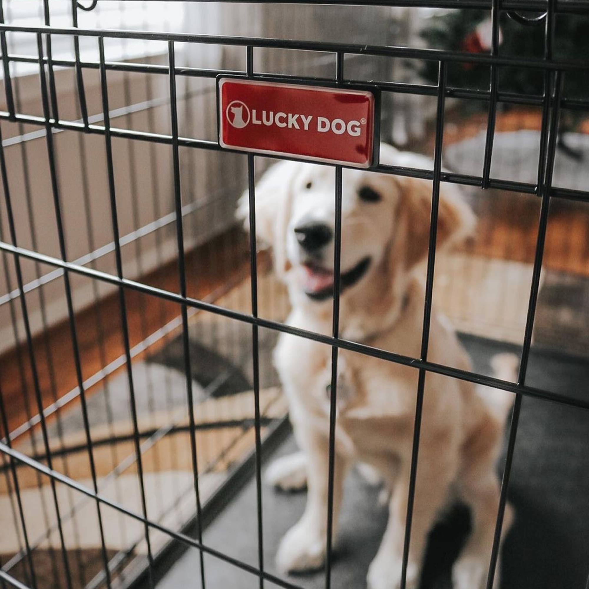 Lucky Dog Dwell Series 42 Inch Large Kennel Pet Dog Crate, Black (Open Box) - VMInnovations