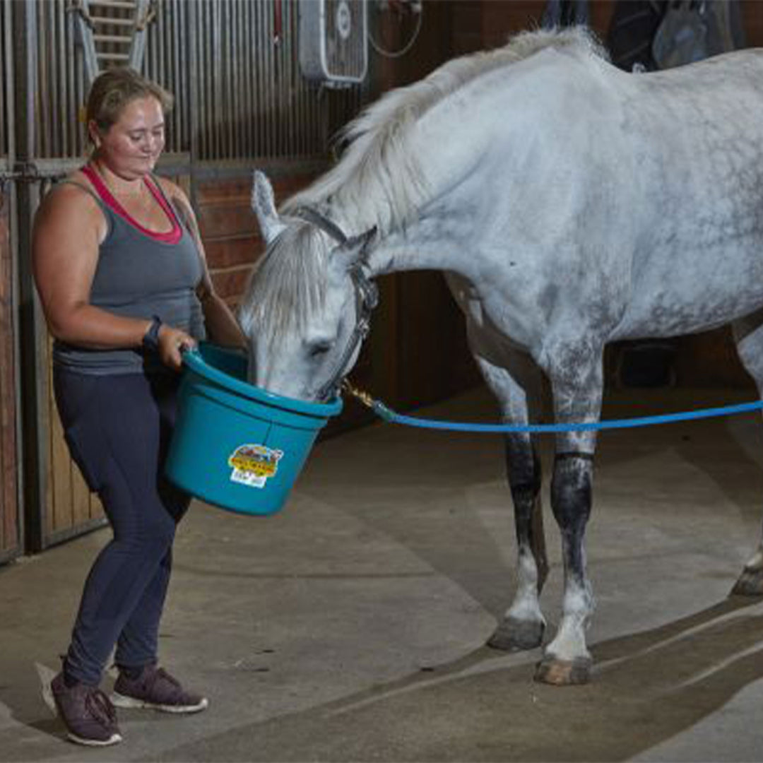 Little Giant Heavy Duty 22 Quart Flat Back Plastic Bucket w/ Metal Handle, Teal - VMInnovations